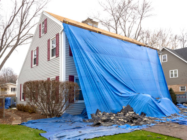 Best Shed Removal  in Elizabeth, NJ